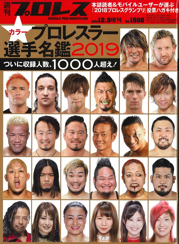 2019プロレスラー カラー選手名鑑