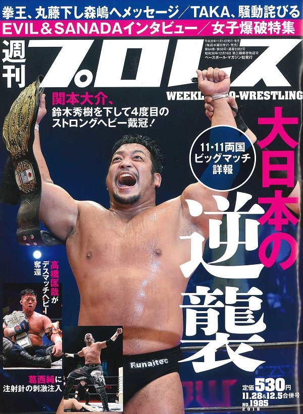 週刊プロレス 11月28日&12月5日合併号