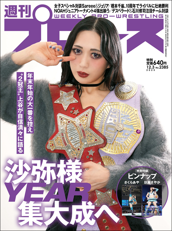 週刊プロレス 12月 3日号