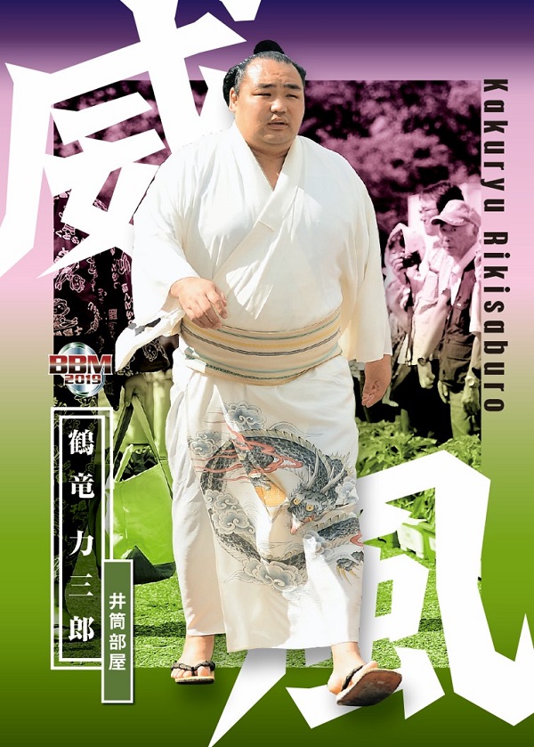 当時物 近世日本相撲史 ベースボール・マガジン社出版 1000部
