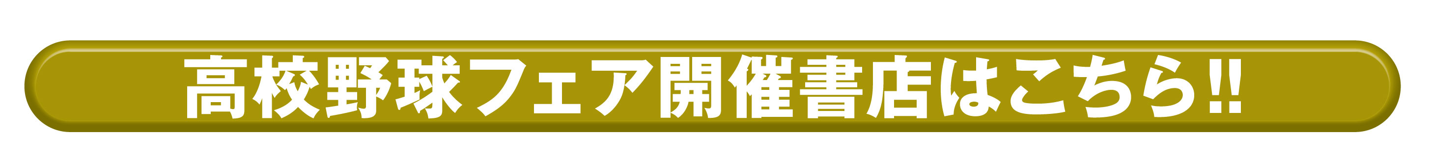 2018夏全国高校野球選手権100回大会応援フェア